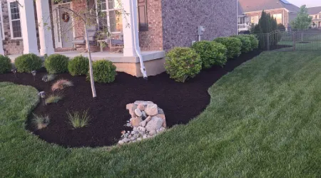 Planting Shrubs and Bushes
