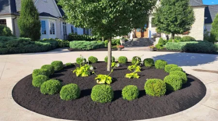 new-plantings